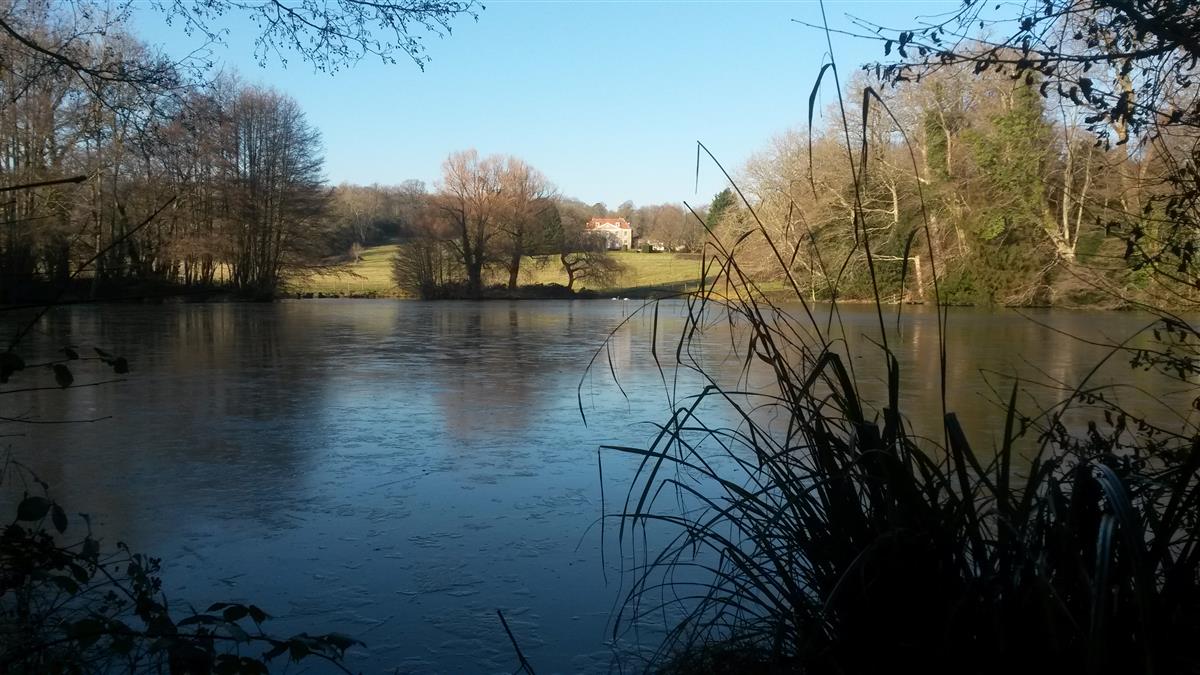 Phillips House from lake